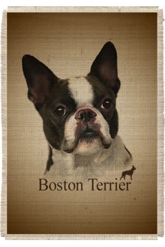 Картина на мешковине арт.535 "Бостон Терьер"