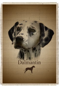 Картина на мешковине арт.541 "Далматин"