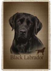 Картина на мешковине арт.546 "Лабрадор черн."