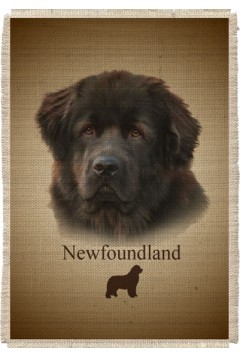 Картина на мешковине арт.549 "Ньюфаундленд"